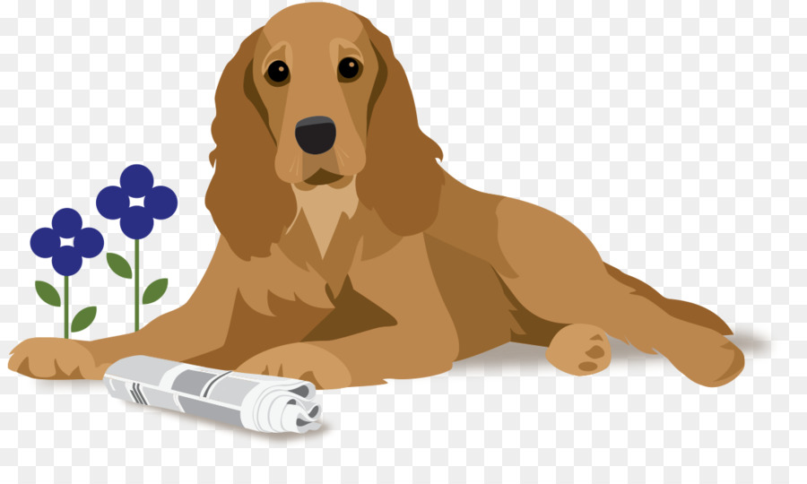 Golden Retriever，Filhote De Cachorro PNG