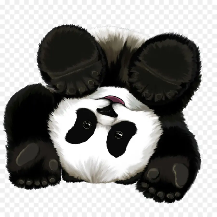 Panda Gigante，Urso PNG