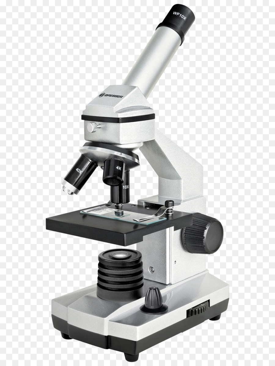 Microscópio，Laboratório PNG