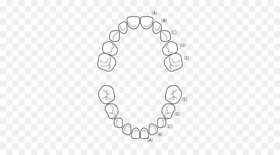 Dentista，吉川美南デンタルクリニック PNG