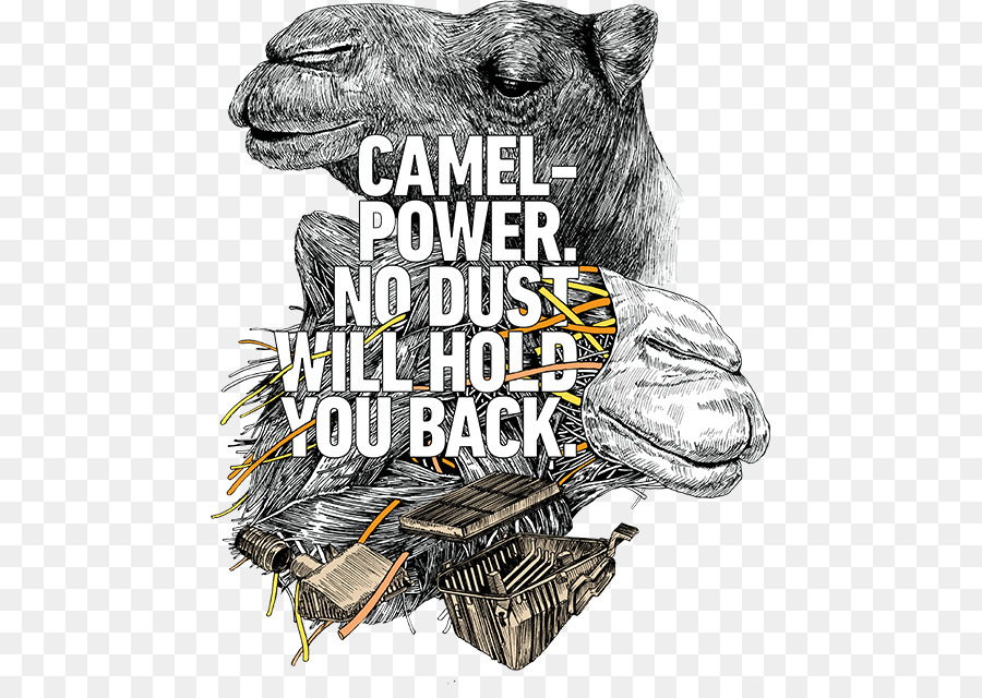 Camelo，Power PNG