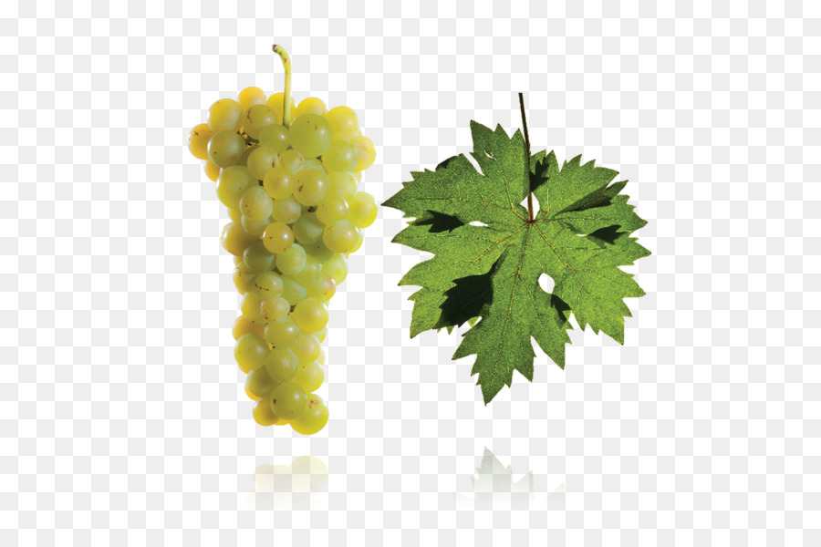 Uvas Verdes，Folha PNG