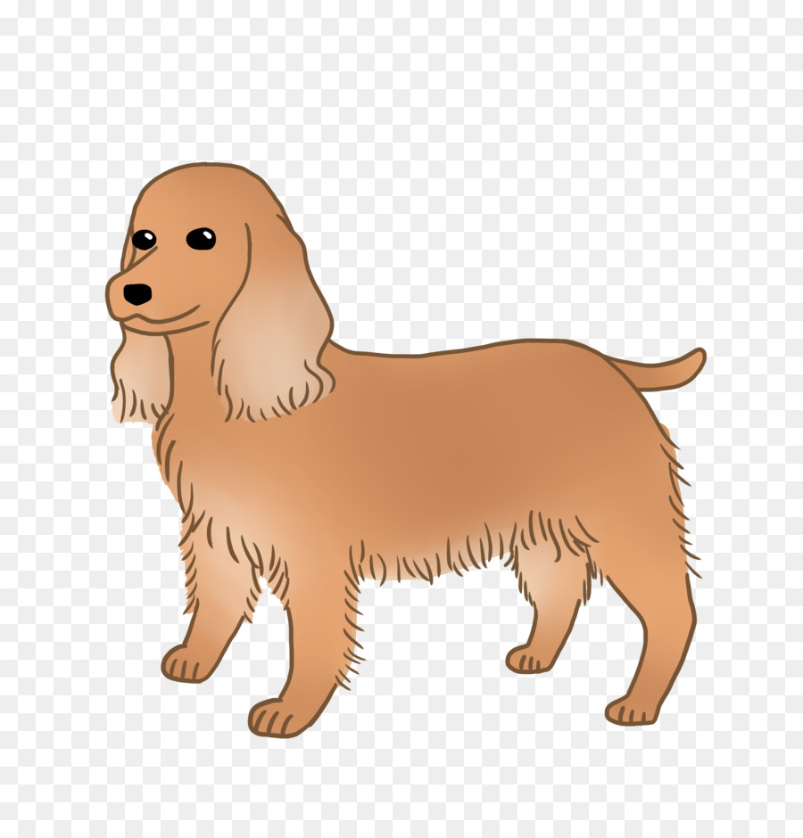 Golden Retriever，Filhote De Cachorro PNG