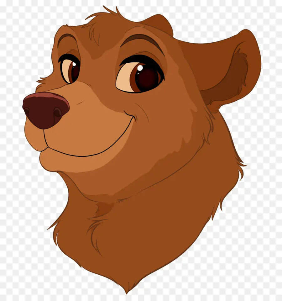 Urso De Desenho Animado，Sorrindo PNG