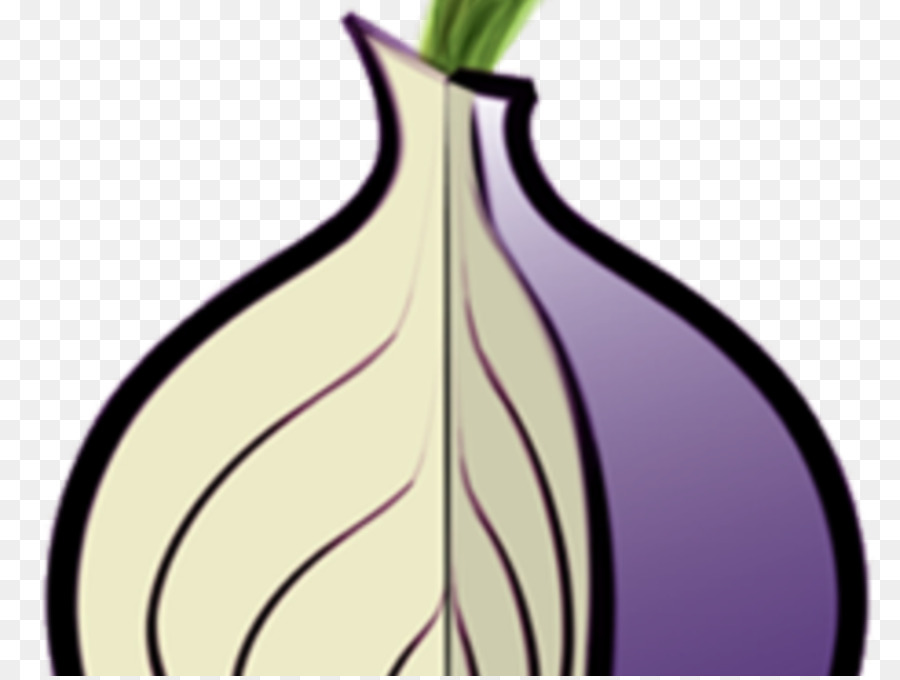 Tor，Cebola PNG