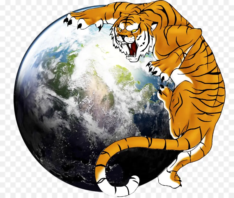 Tigre E Terra，Animal PNG