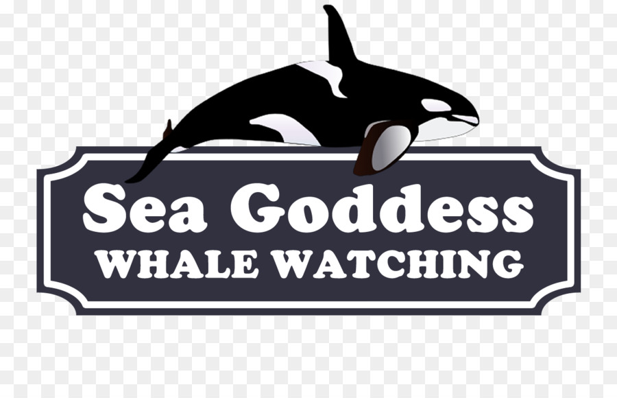 Monterey Bay，Mar Deusa Observação De Baleias PNG