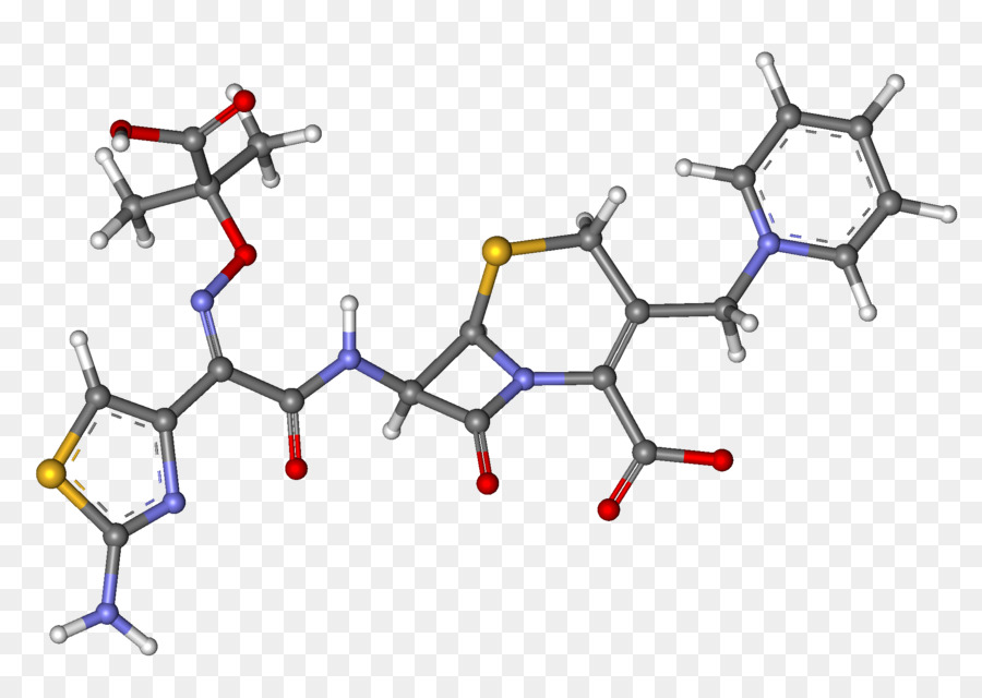 Ceftazidima，Cefalosporina PNG