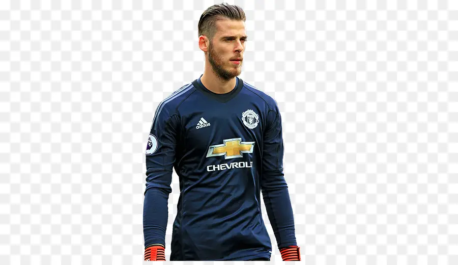 David De Gea，A Fifa 18 PNG