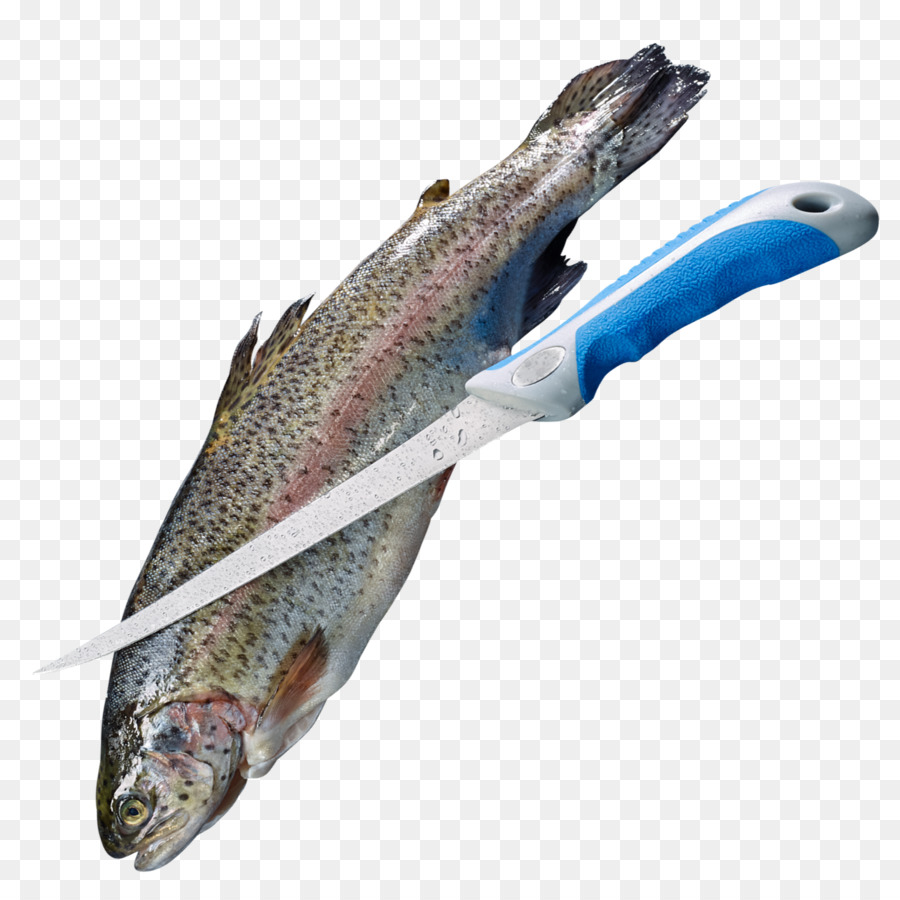 Askari，Pesca PNG