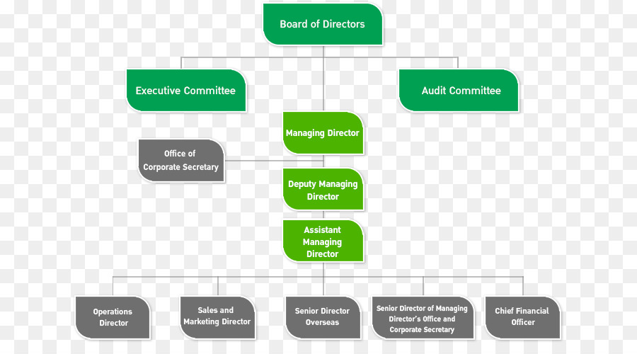 Organograma，Hierarquia PNG
