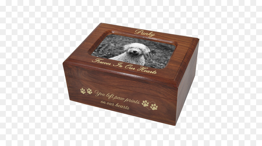 Cocker Spaniel，Urn PNG