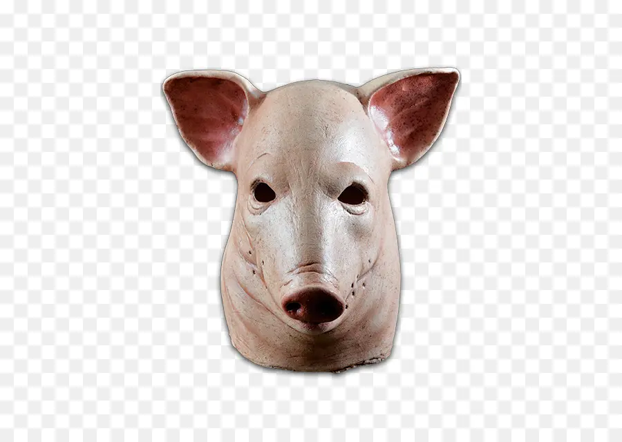 Máscara De Porco，Animal PNG