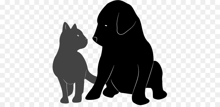 Featured image of post Cachorro E Gato Png Desenho All png cliparts images on nicepng are best quality