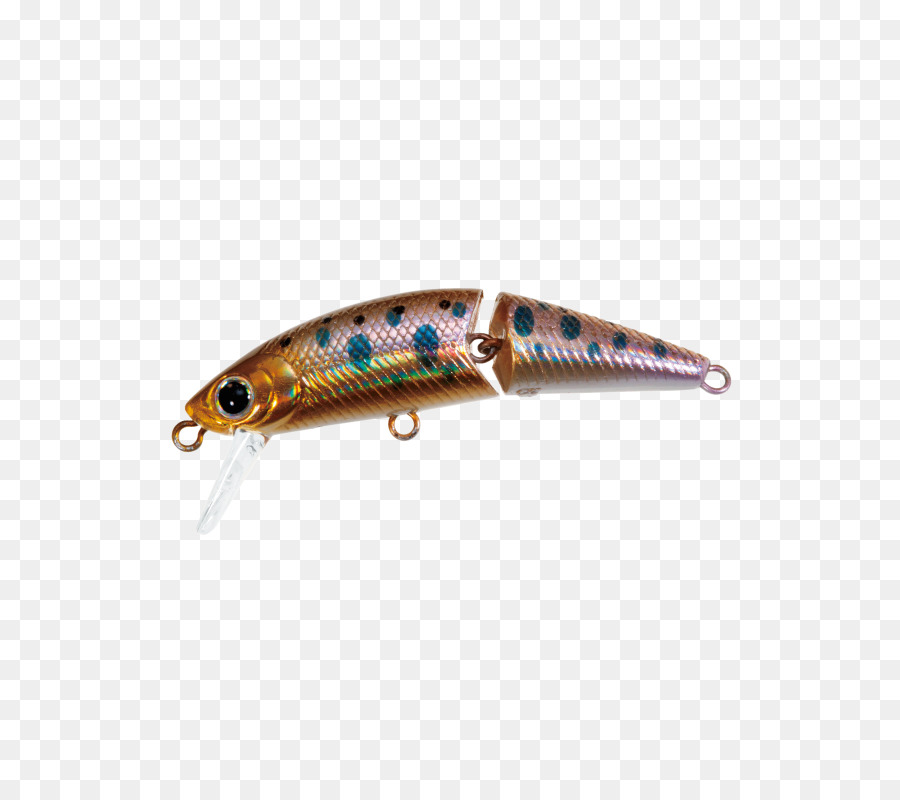 A Pesca De Iscas Iscas，Peixe PNG