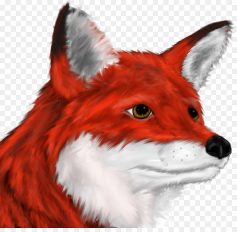 Desenho de raposa vermelha
