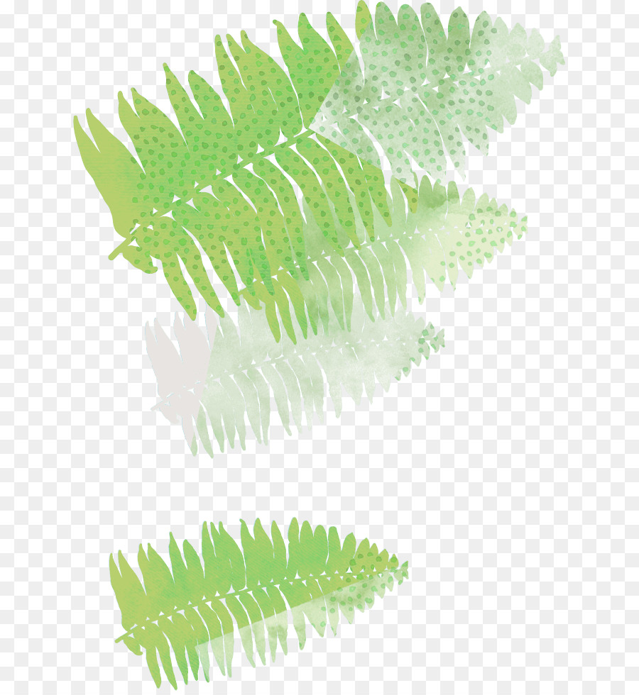 Sudeste Jardim Botânico，Jardim Botânico PNG