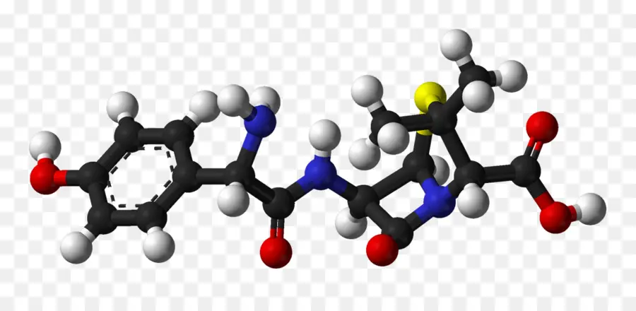 Amoxicillin，Amoxicillinclavulanic ácido PNG