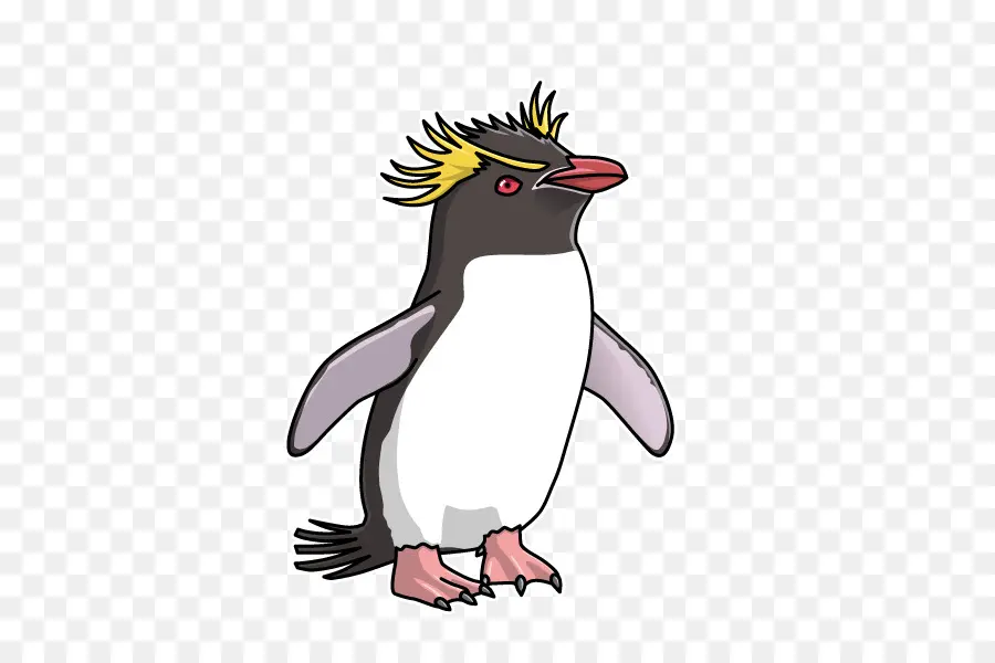 Pinguim，Pássaro PNG