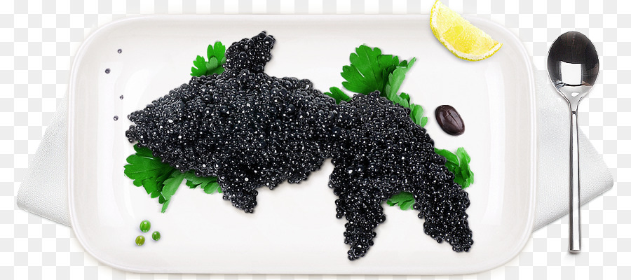 Caviar，Superalimento PNG