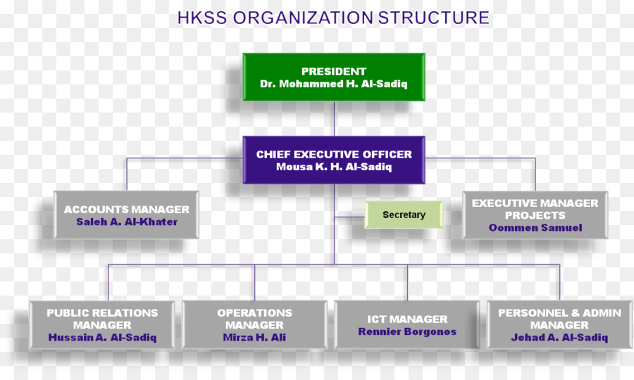 Organização，Gráfico Organizacional PNG