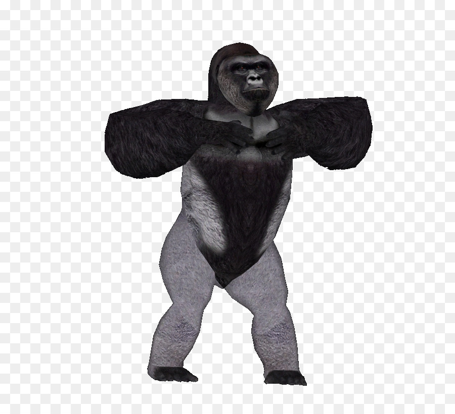 Harambe，Papel De Parede Da área De Trabalho PNG