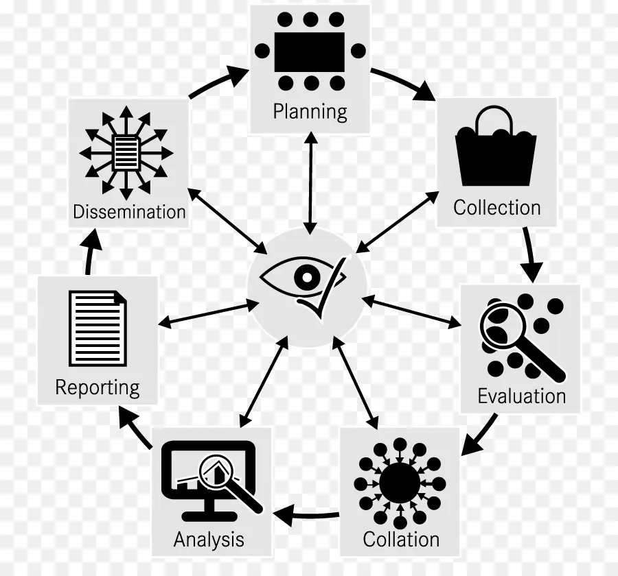 Ciclo Da Inteligência，Informações PNG