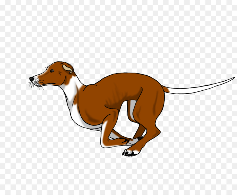 Whippet，Greyhound PNG