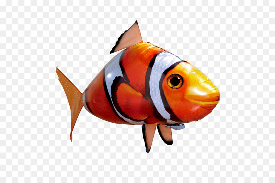 Peixe Dourado，Peixe PNG