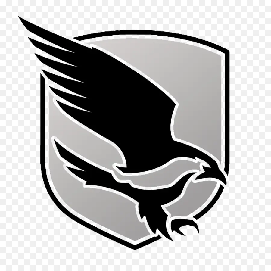 Logo，Nighthawk PNG