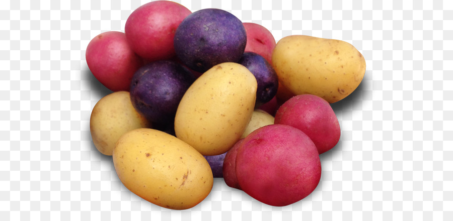 Russet Burbank Batata，O Ouro De Yukon Batata PNG