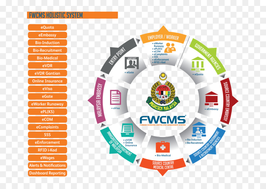 Modelo，Infográfico PNG