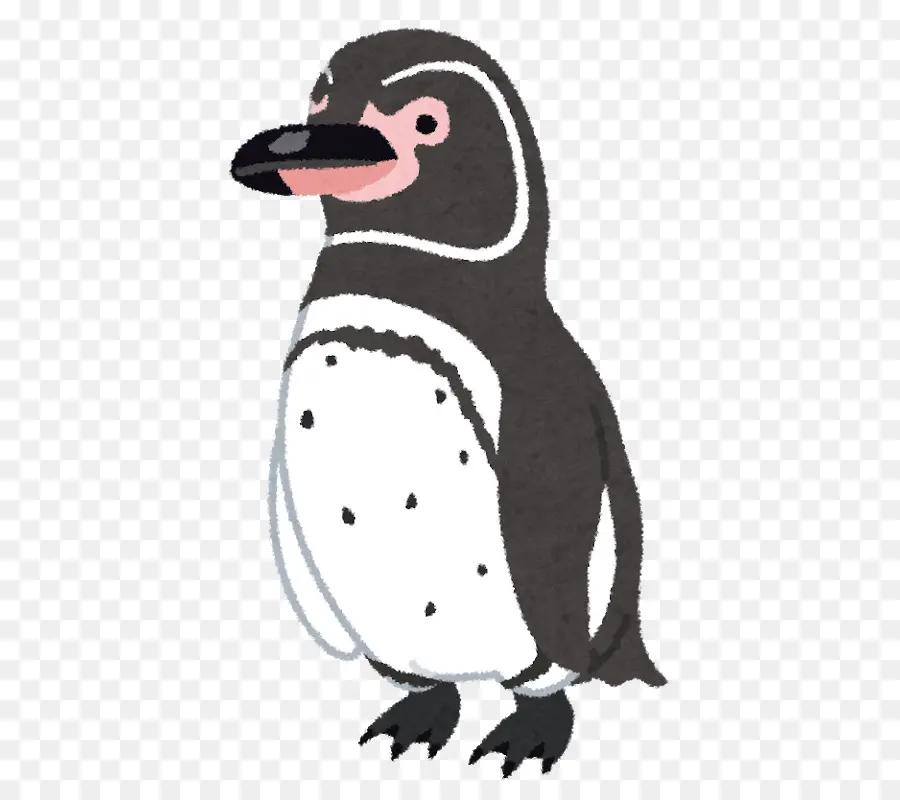 Penguin，New Year Card PNG