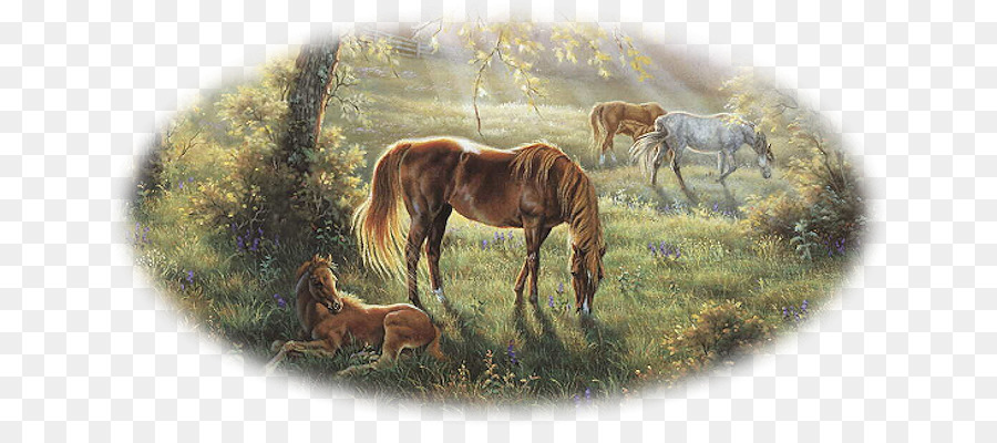 Pintura，Cavalo PNG