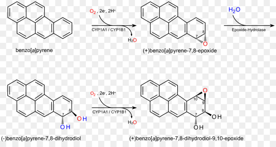 Benzoapyrene，Enantiômero PNG