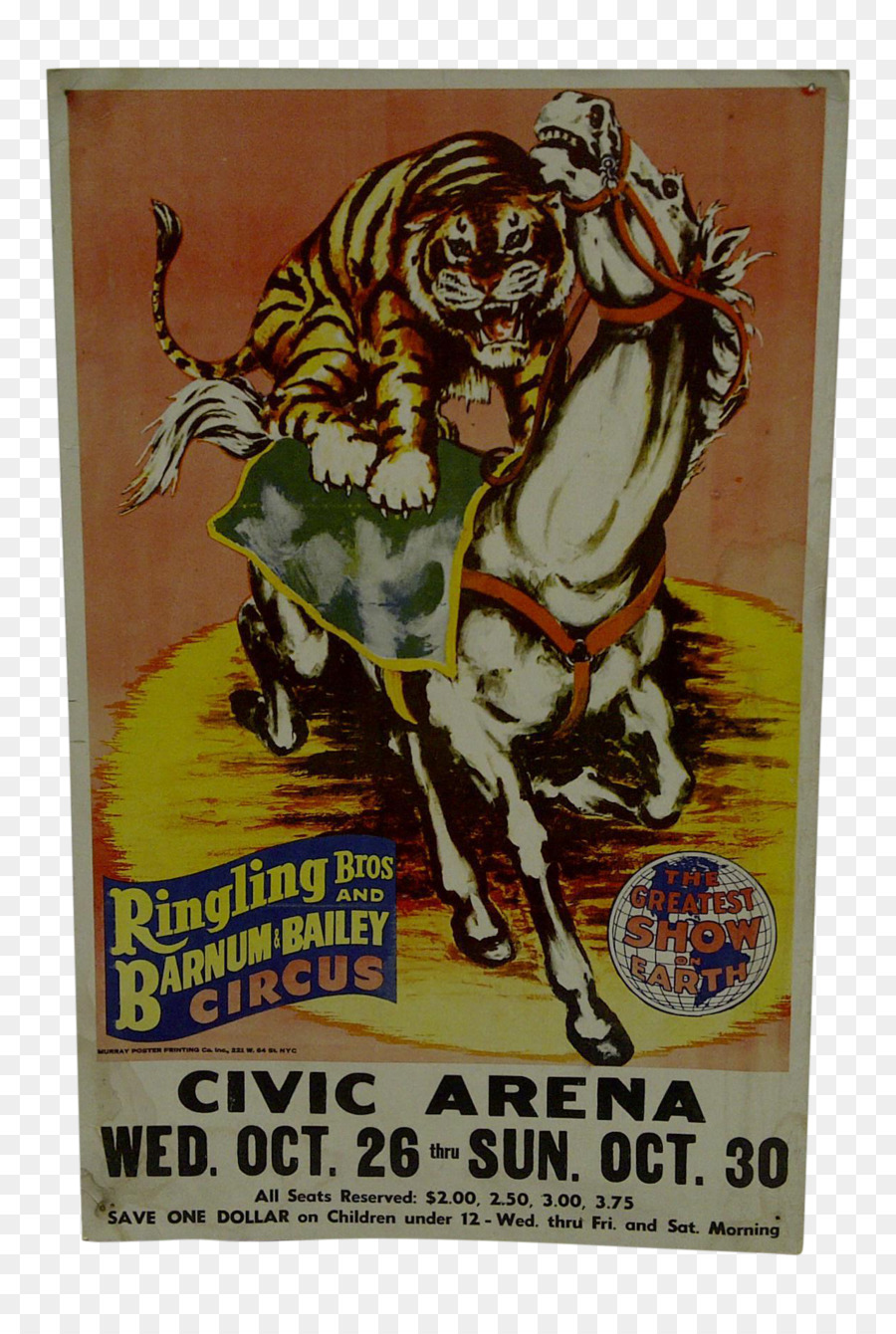 Cartaz，Circo PNG