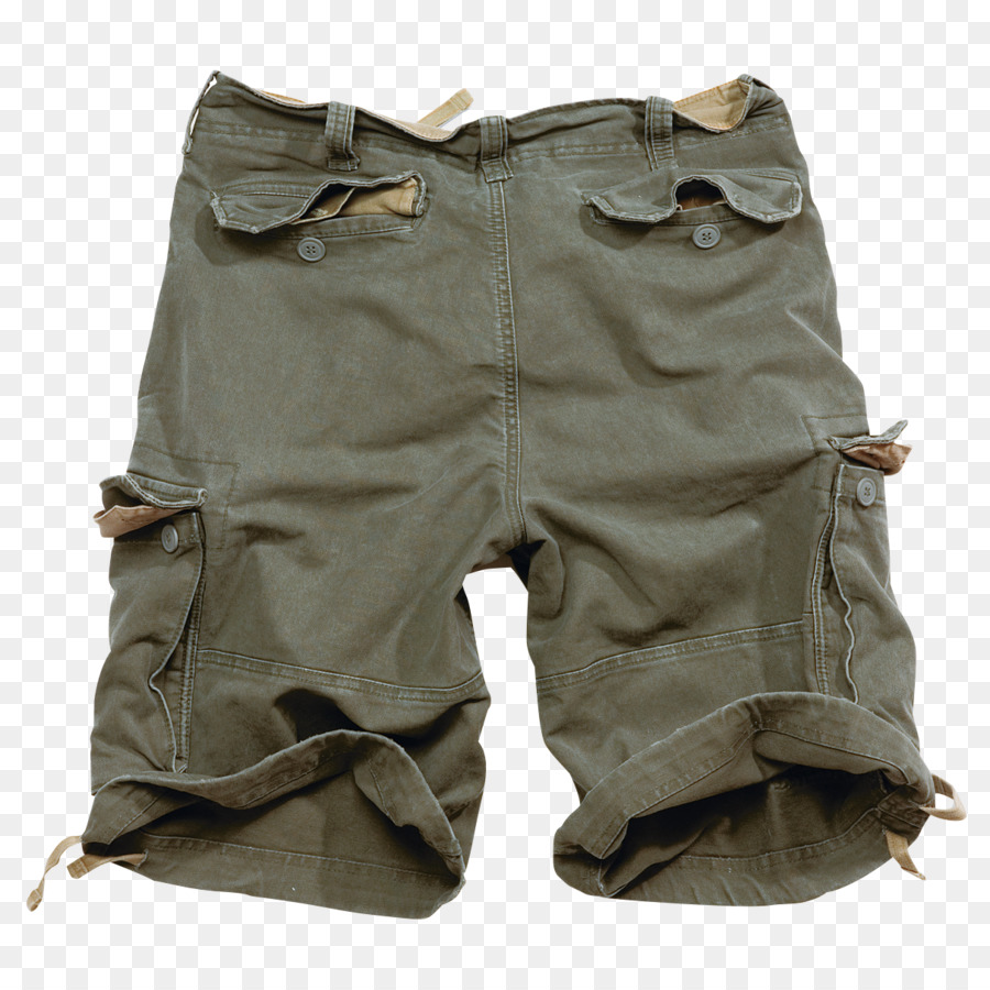 Shorts Cargo，Roupas PNG