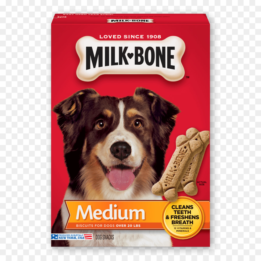 Cão，Biscoito De Cão PNG