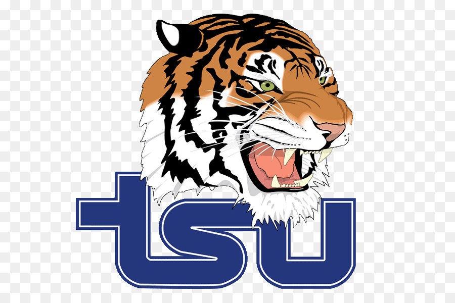 Tennessee State University，Atualmente O Estado Tigres Basquete Masculino PNG