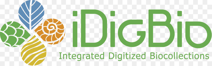 Idigbio，Logo PNG