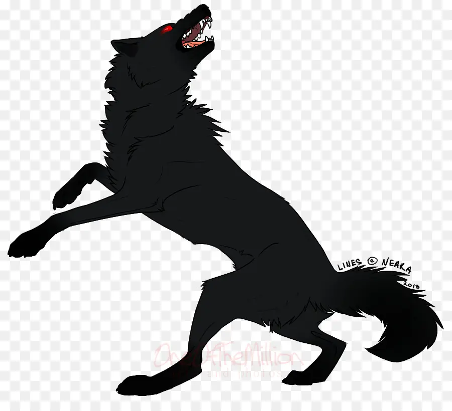 Lobo，Preto PNG