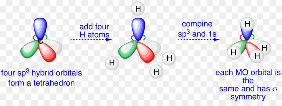 Hibridização De Orbitais，Atomic Orbital PNG