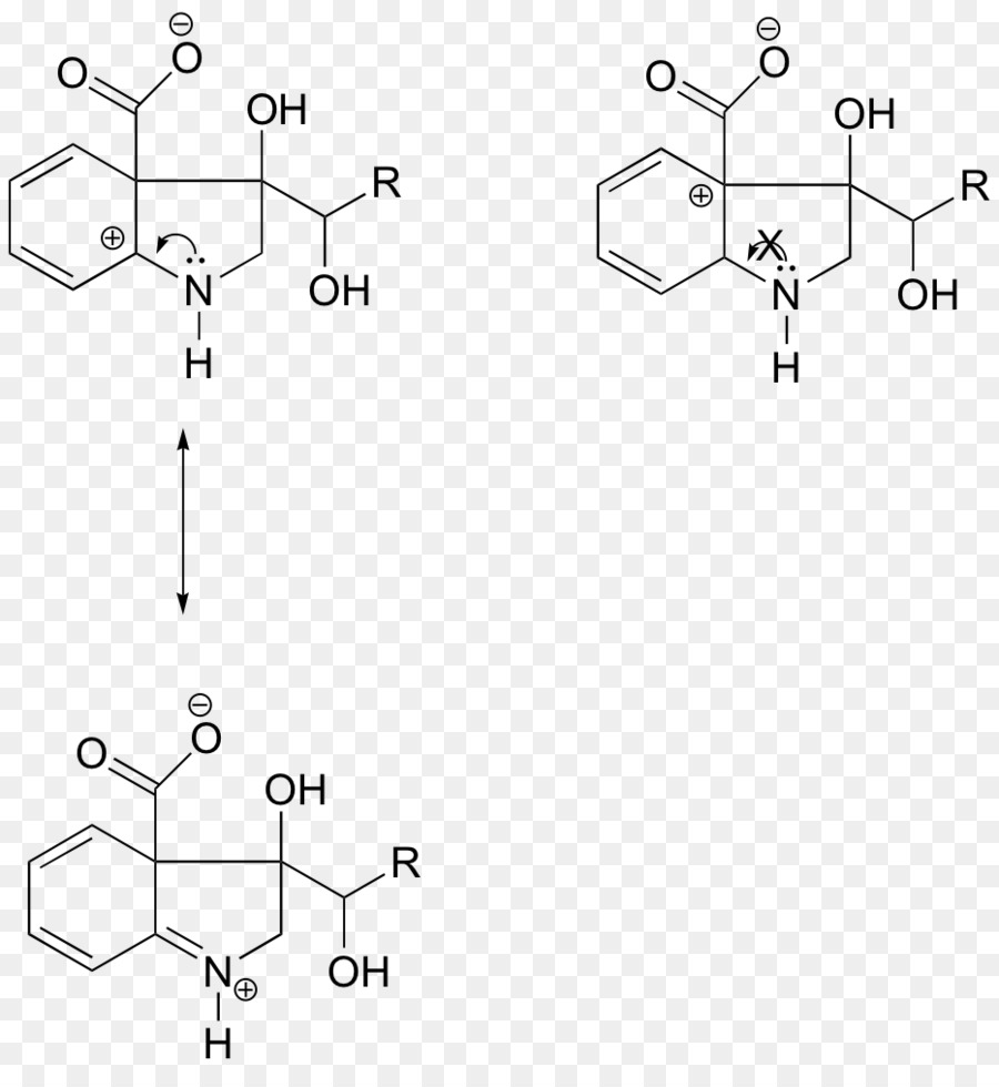 Estrutura Química，Molécula PNG