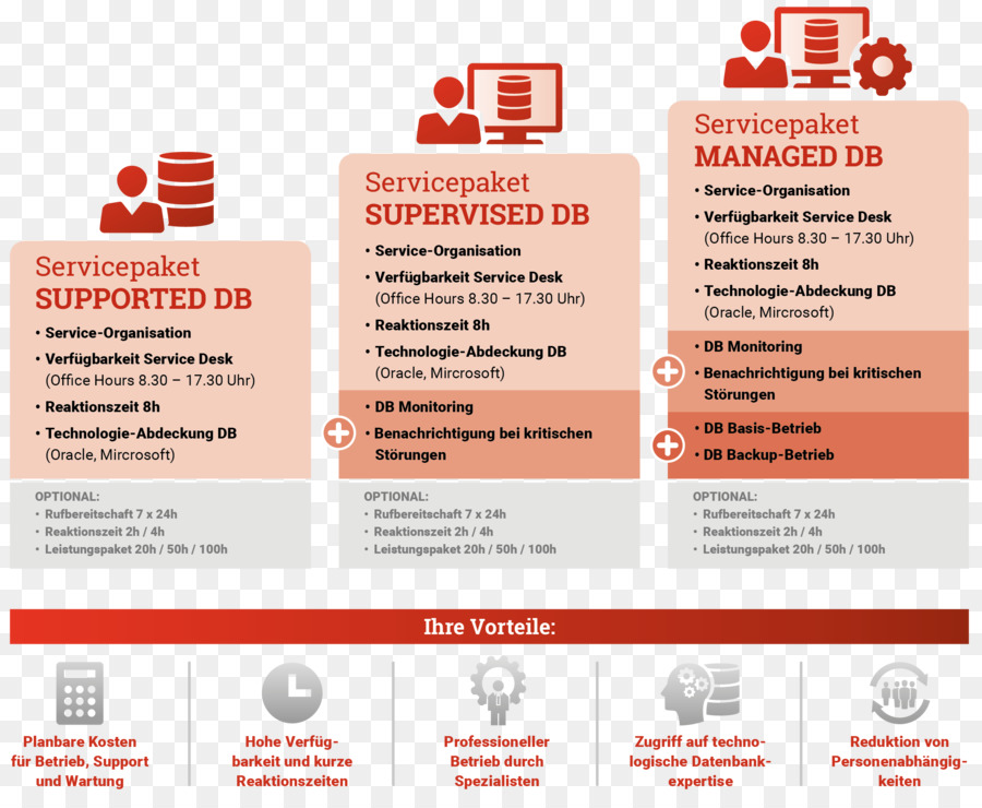 Infográfico Do Pacote De Serviços，Serviço PNG