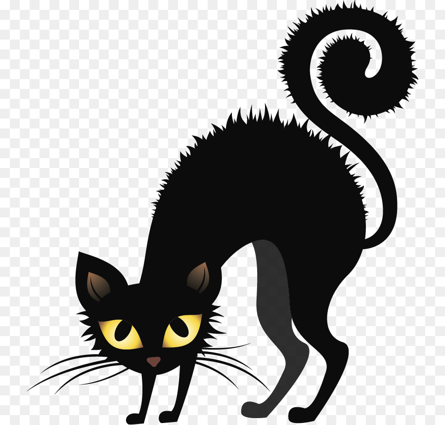 Gato Preto，Felino PNG