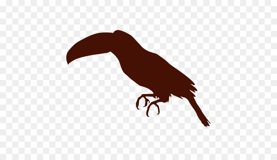 Bico，Aves PNG