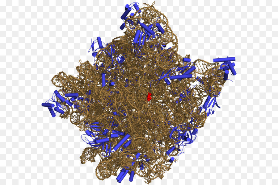 Estrutura Molecular，Biologia PNG