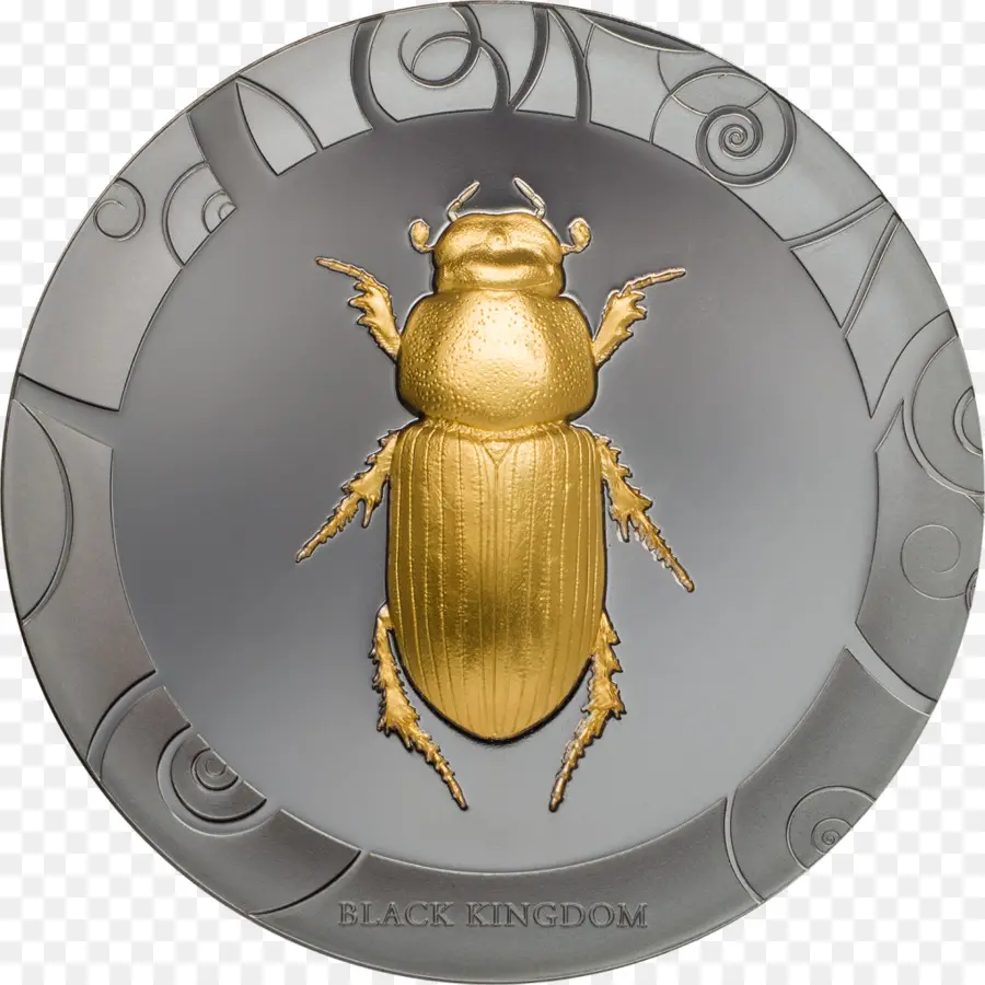 Besouro，Escaravelho PNG
