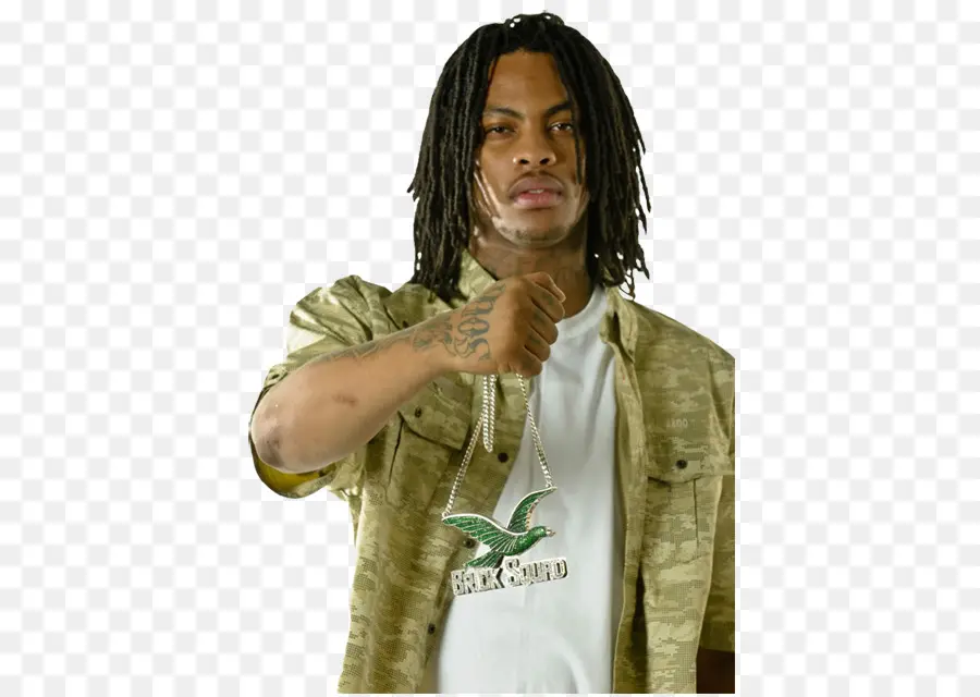 Homem Com Dreadlocks，Dreadlocks PNG