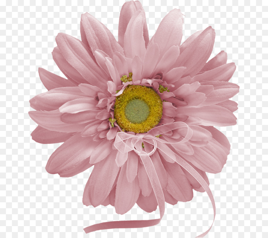 Flor，Flores De Corte PNG